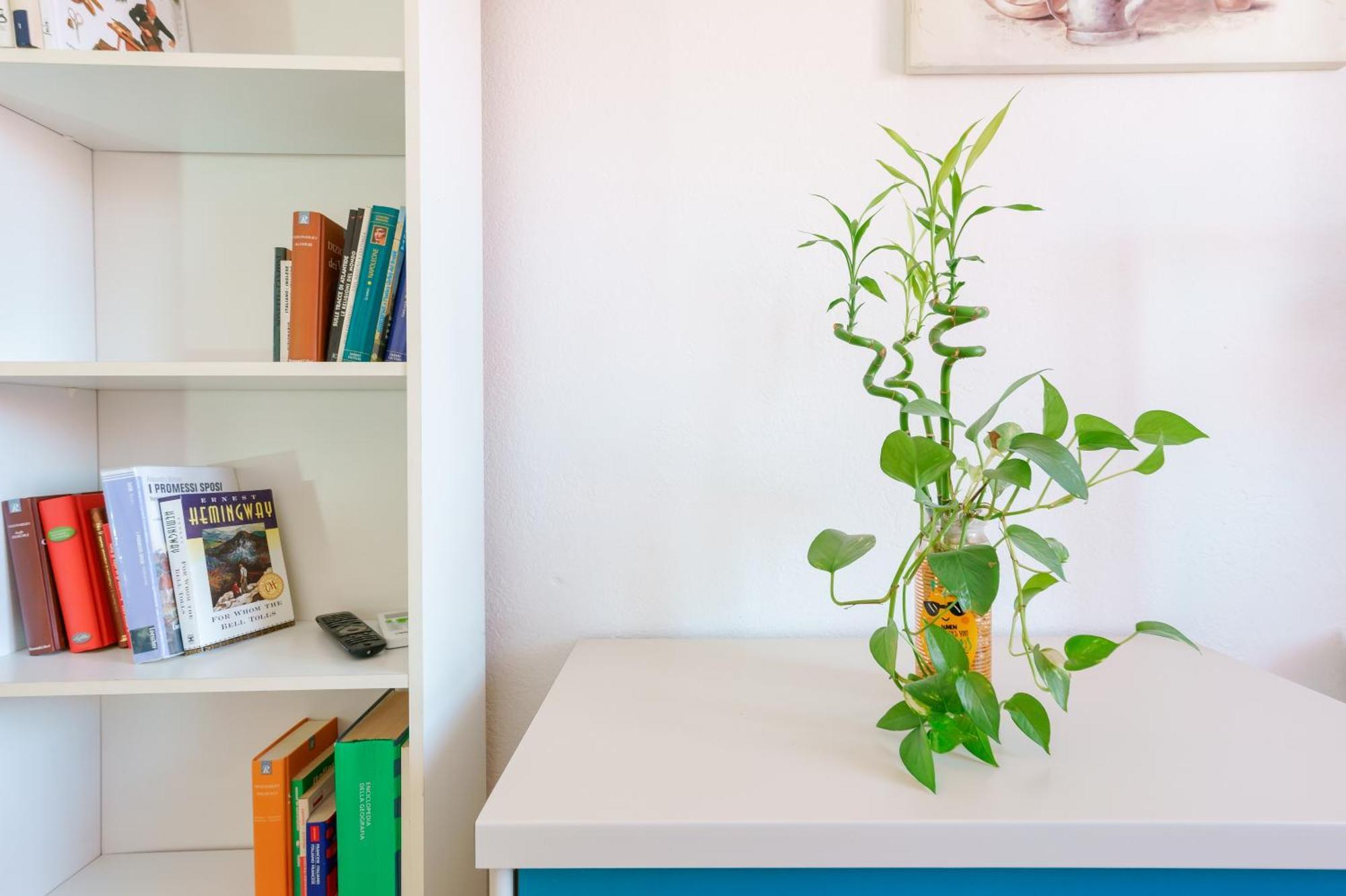 B&B Pothos - Eng Ita - Air Conditioning Wi-Fi Fridge Netflix Local Guide - Aria Condizionata, Frigo, Internet, Guida Locale Cagliari Bagian luar foto