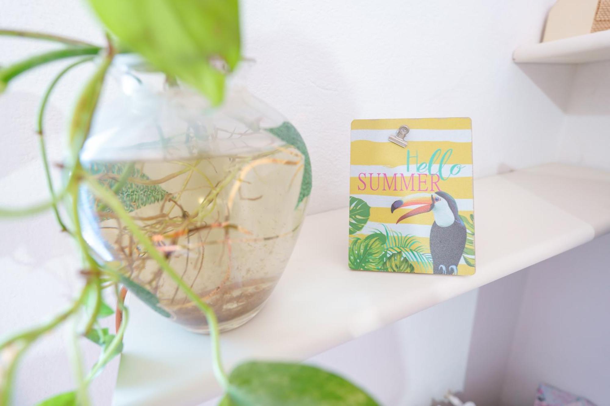 B&B Pothos - Eng Ita - Air Conditioning Wi-Fi Fridge Netflix Local Guide - Aria Condizionata, Frigo, Internet, Guida Locale Cagliari Bagian luar foto